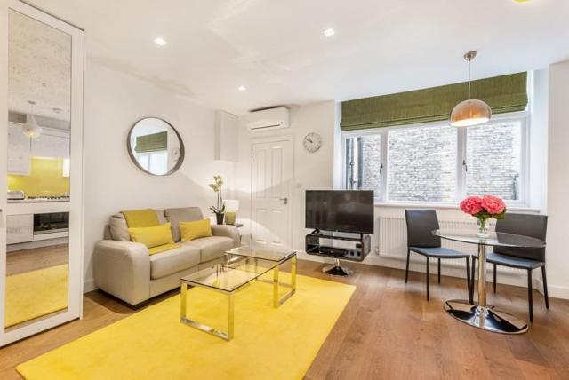 Marylebone - Crawford Street By Viridian Apartments ロンドン エクステリア 写真